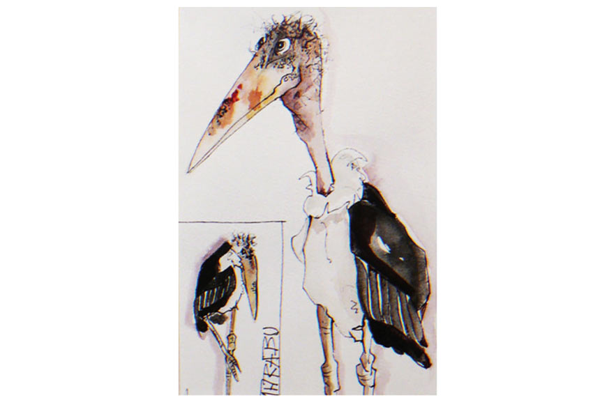 aquarell marabu